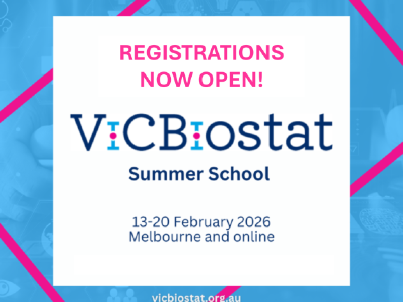 Image for VicBiostat Summer School 2026